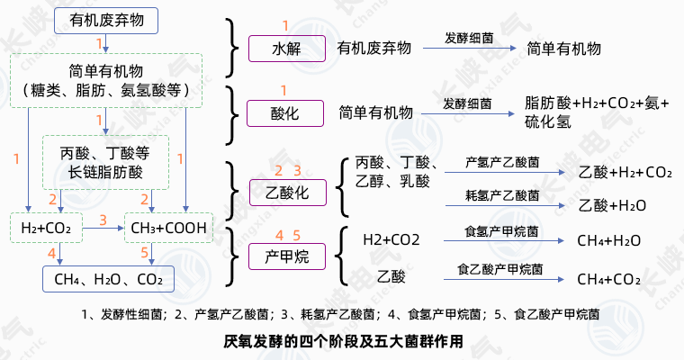 厌氧发酵4大阶段.png
